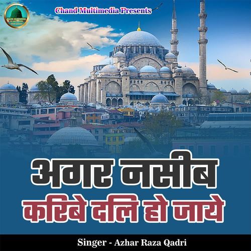 Agar Naseeb Karibe Dali Ho Jae