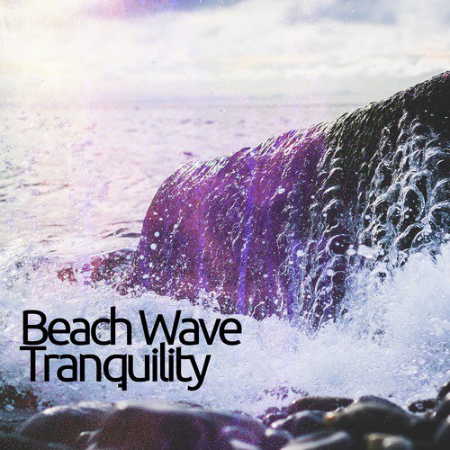 Beach Wave Tranquility