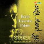 Bristi Tomake Dilam