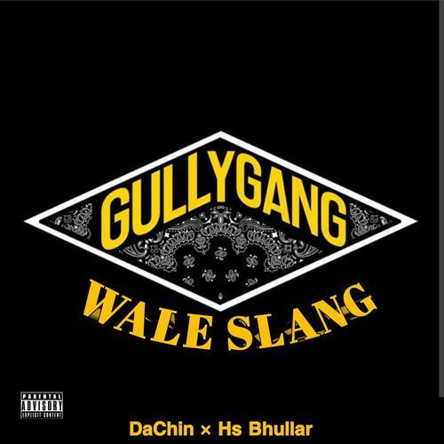 Gully Gang Wale Slang