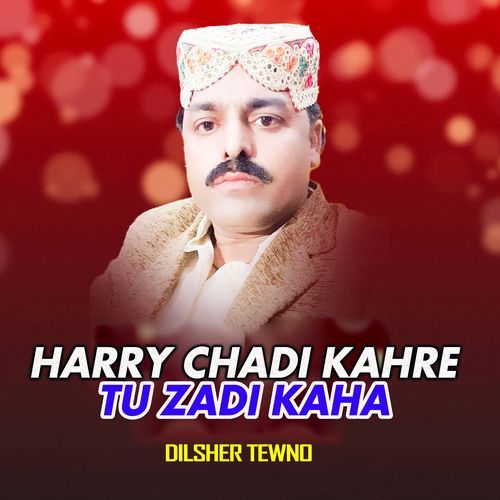 Harry Chadi Kahre Tu Zadi Kaha