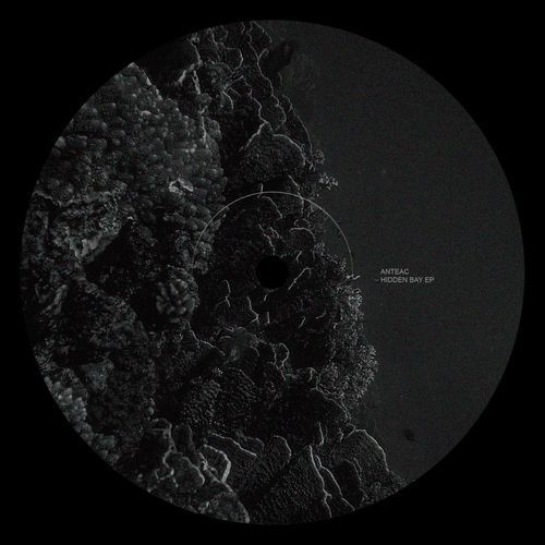 Rusted Shell cover art