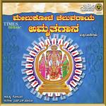 Melukote Cheluva Narayana Namdyana