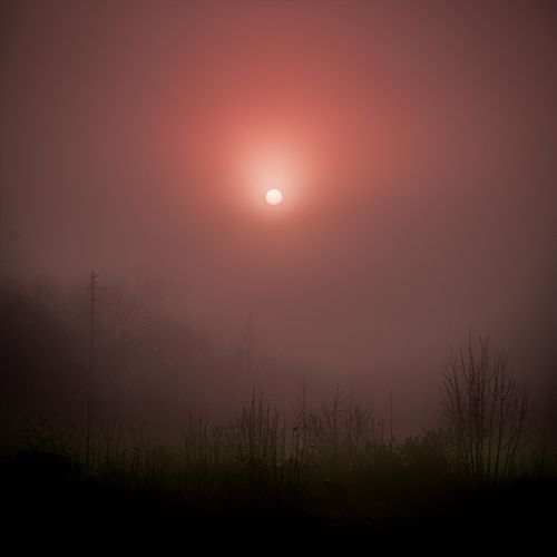 Merely cover art