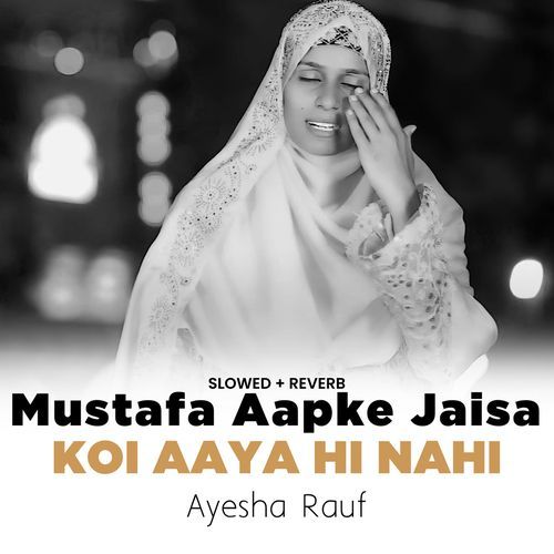 Mustafa Aapke Jaisa Koi Aaya Hi Nahi (Lofi-Mix)