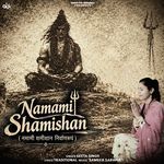 Namami Shamishan artwork