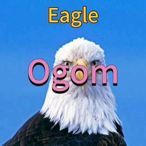 Ogom