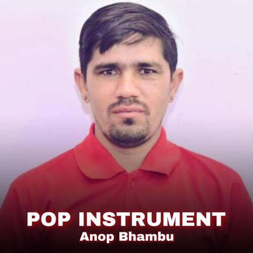 POP INSTRUMENT