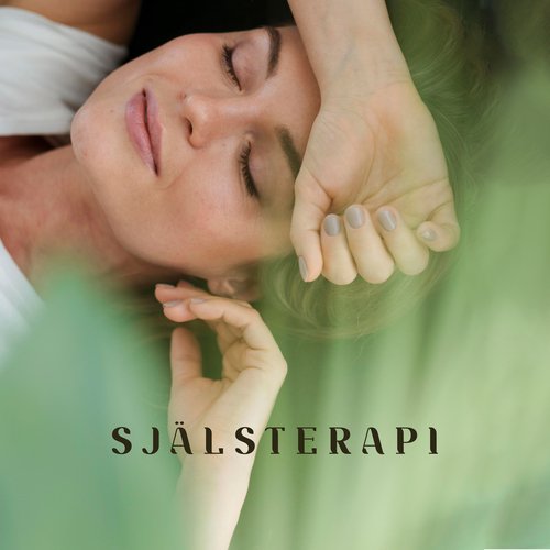Skogens djup cover art
