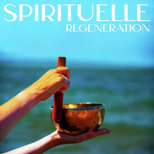Rein harmonische Schalen cover art