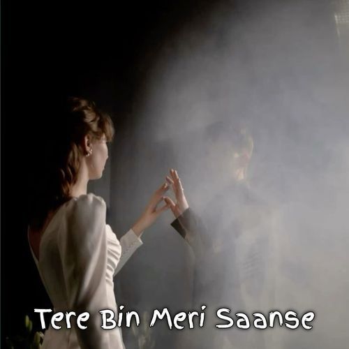Tere Bin Meri Saanse