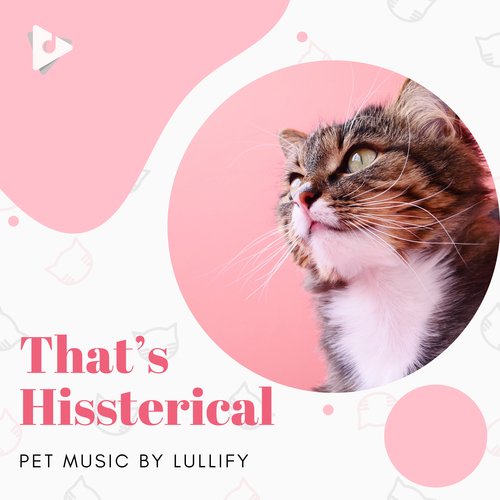 Ok But Pet Me cover art