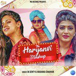 The Haryanvi Mashup - Single