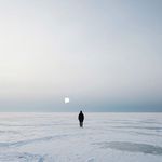 Untold and Cold