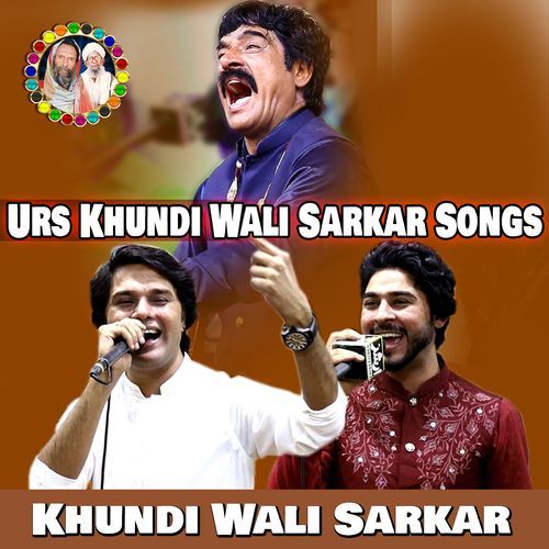 Dhola Te Mein Haan cover art