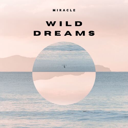 Wild Dreams_poster_image