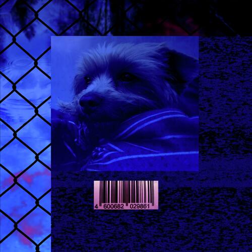 spring leaves cover art