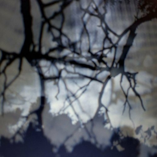 404 cover art