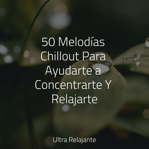 50 Melodías Chillout Para Ayudarte a Concentrarte Y Relajarte_poster_image