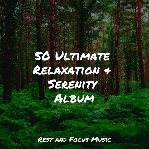 50 Ultimate Relaxation & Serenity Album