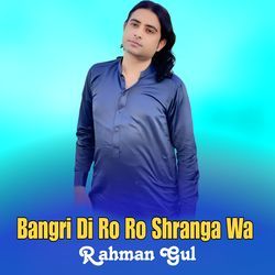 Bangri Di Ro Ro Shranga Wa-GA0JSBh9AH4