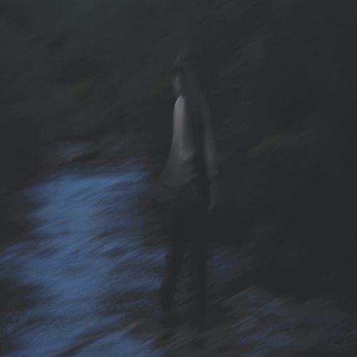 Seabirds cover art