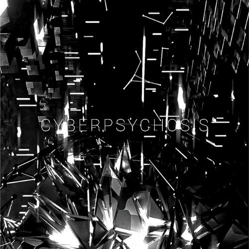 Cyberpsychosis