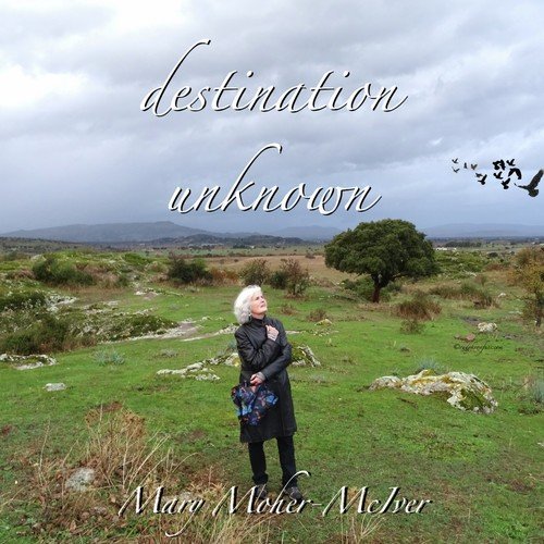 Destination Unknown cover art