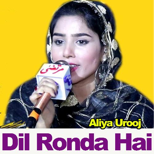 Dil Ronda Hai