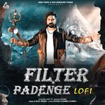 Filter Padenge (Lofi)