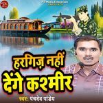 HARGIZ NAHI DENGE KASHMIR