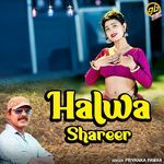 Halwa Shareer