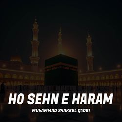 Ho Sehn E Haram