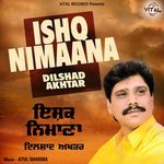Mele Vich Dhol Vajde artwork