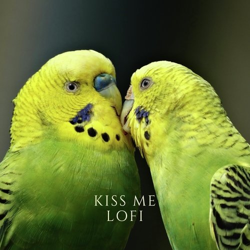 Kiss me (Valentines Special Lofi )