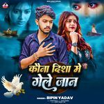 Kona Disha Me Gele Jaan