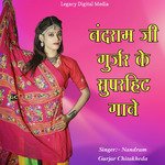 Gata Tejal Veer Ki artwork