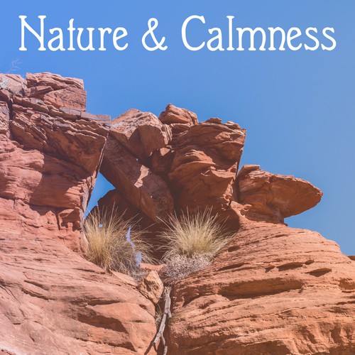 Nature & Calmness – Peaceful Music, Deep Relief, Total Calm, Relaxation Sounds, Stress Free, Pure Mind, Nature Sounds for Rest