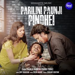 Parilini Paunji Pindhei (From &quot;Pagala Karichi Paunji Tora&quot;)-QQpdaUN5BHA