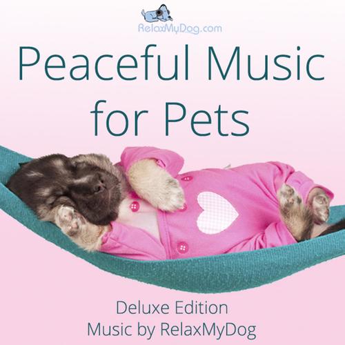 Peaceful Music for Pets
