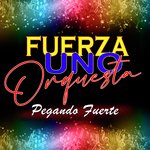 Amor y Canciones