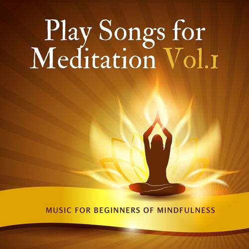 Meditative Guru cover art
