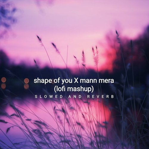 shape of you x mann mera slowed song download pagalworld