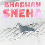 Sneha