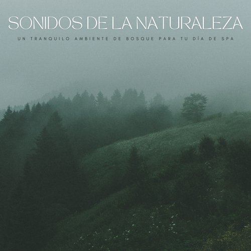 Masajes cover art