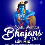 Soulful Mantras Bhajans Vol 1 (Lofi)