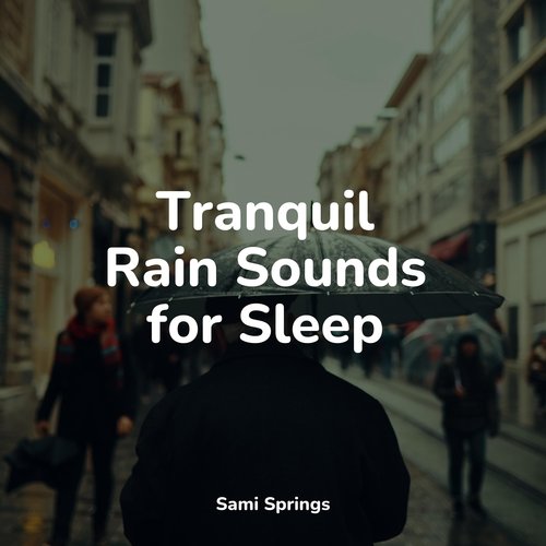 Tranquil Rain Sounds for Sleep_poster_image