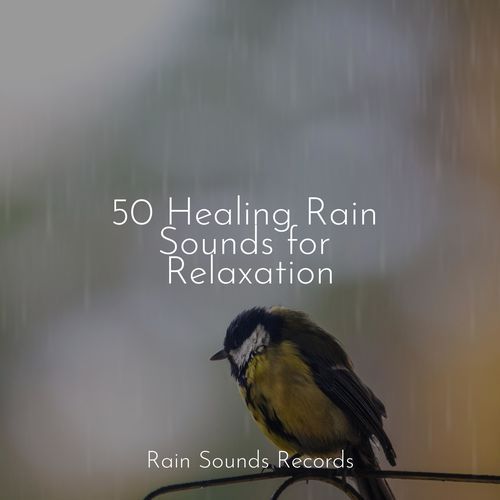 50 Healing Rain Sounds for Relaxation