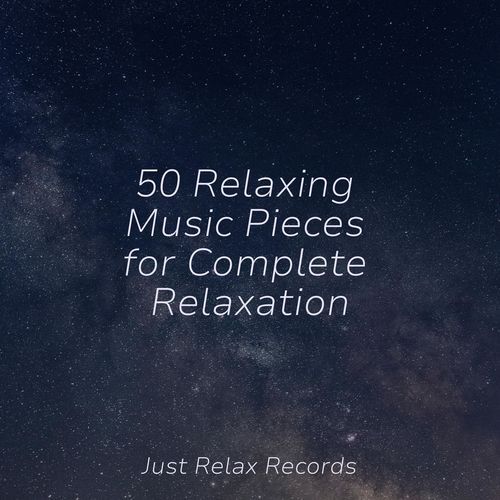 50 Relaxing Music Pieces for Complete Relaxation_poster_image