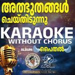 Albhuthangal Cheythidunna